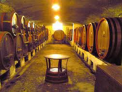 wijn en streekprodukten tours en Toscane