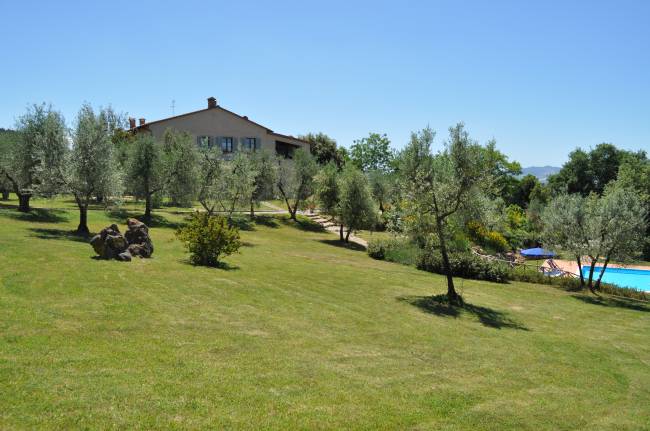 La piscina nel parco del Casale del Madonnino